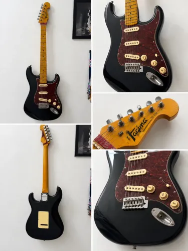 Tagima TG-530 Woodsrock Series