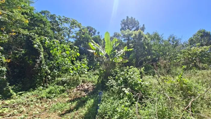 Terreno a venda na Praia dos Açores em Florianópolis