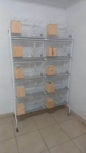 Jogo de gaiolas