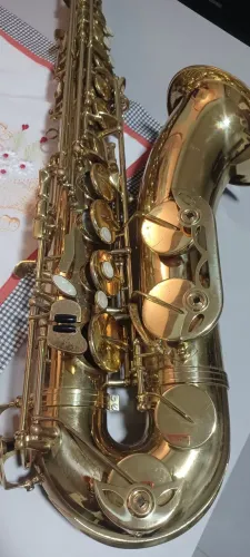 Sax tenor shelter 