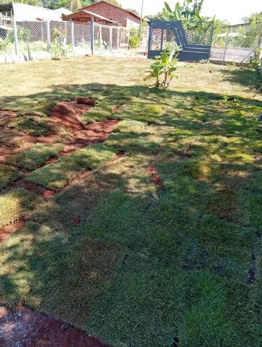 Oferta da semana:renove seu jardim gastando pouco!!