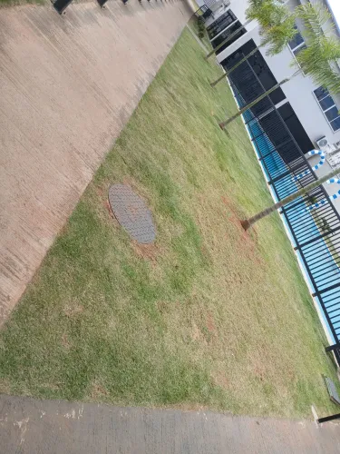 Jardinagem e limpeza de lotes