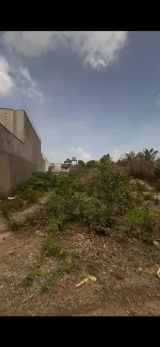 004 - VENDO LOTE NO ARAÇAGY POR APENAS 135 MIL