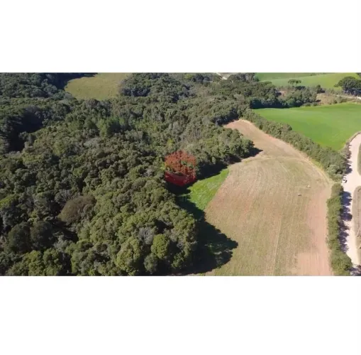 Área Rural à Venda 27.000 m²