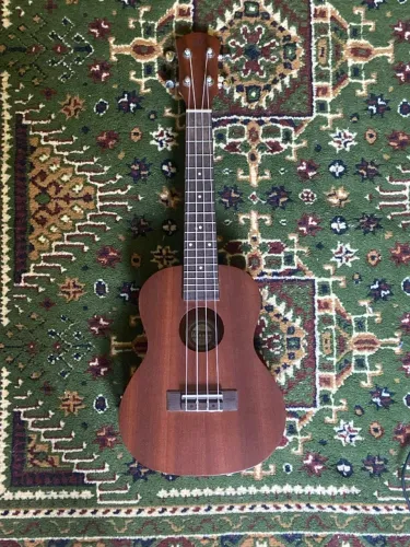 ukulele tenor winer