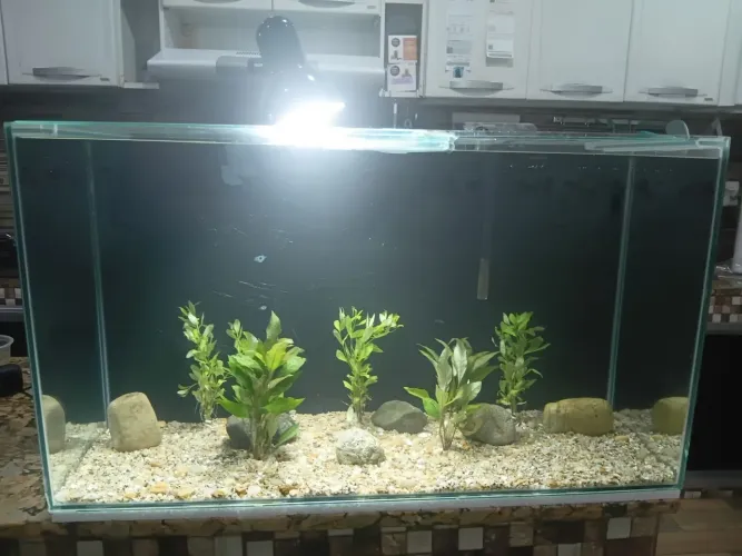 Vendo lindo aquário de 108 litros completo