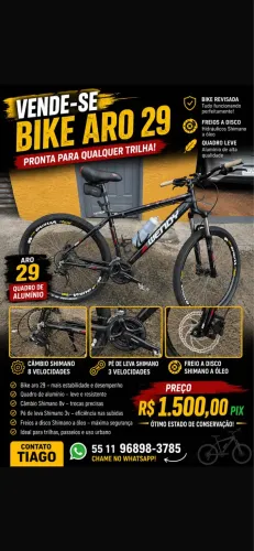 Bicicleta