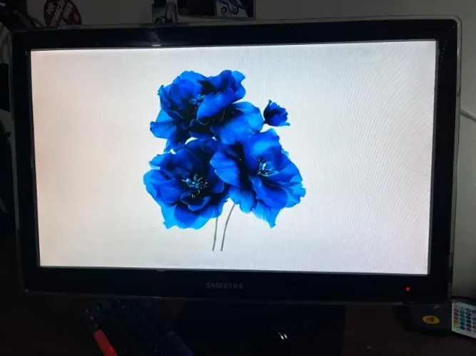 Monitor/TV Samsung P2470HN 24" + Suporte de Parede + Cabo VGA