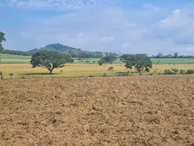 Sítio ,área útil muito boa