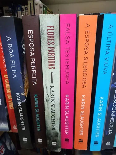 coleção livros karin slaughter 6 livros