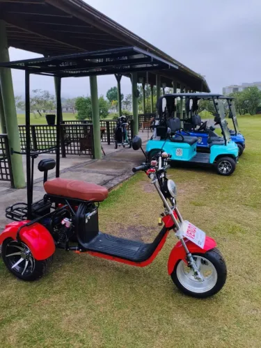 Triciclo equipado para Golf