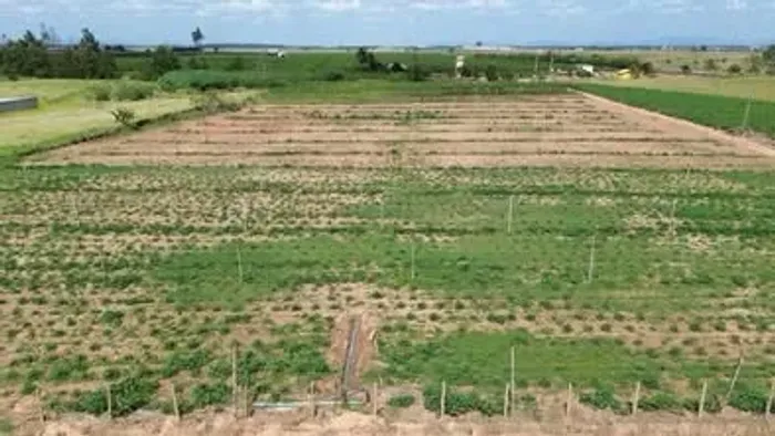 Vendo terreno escriturado em Bebedouro, próximo a BR101 2 hectares
