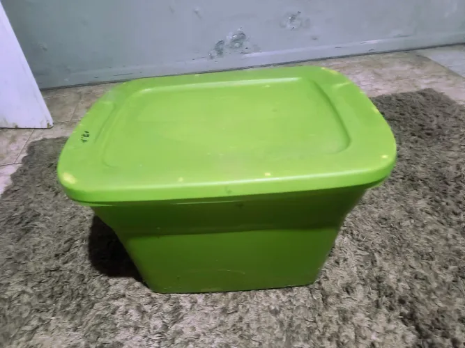 Caixa verde organizadora grande