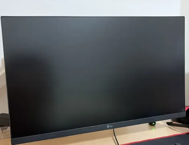 Monitor LG 100HZ 24pol.