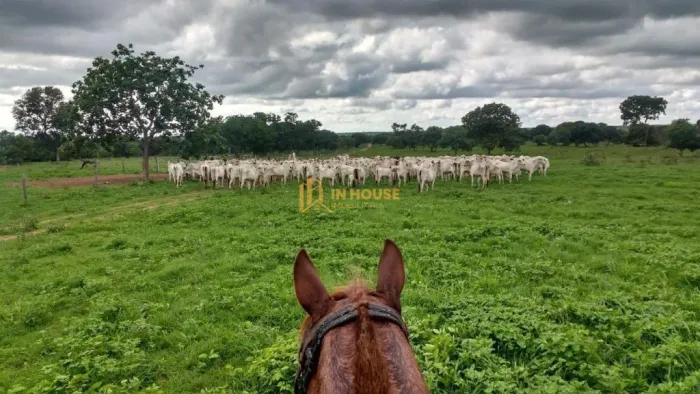 Fazenda à Venda em Santa Fé de Minas com 4 Dormitórios