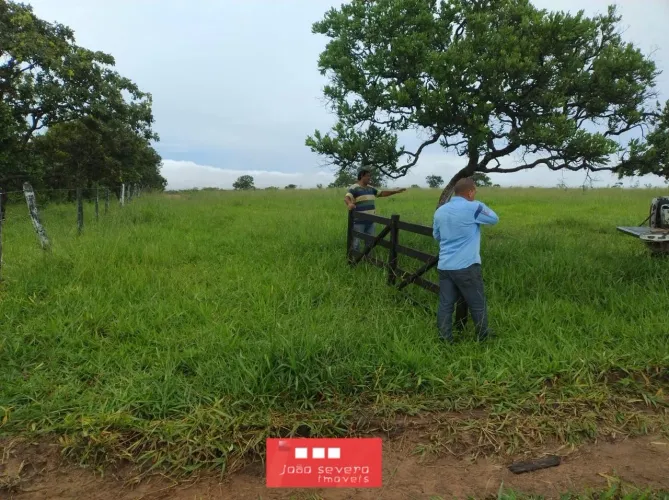 Fazenda para Venda em Barra do Garças