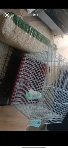 Gaiola para Hamister pequena.