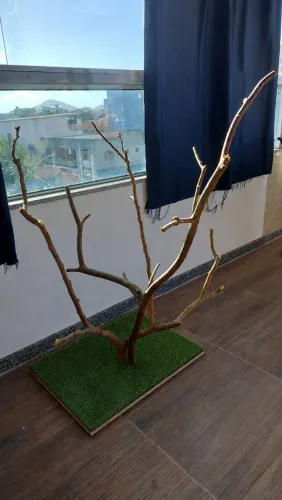 Playgrounds naturais para aves de todos os tipos!!
