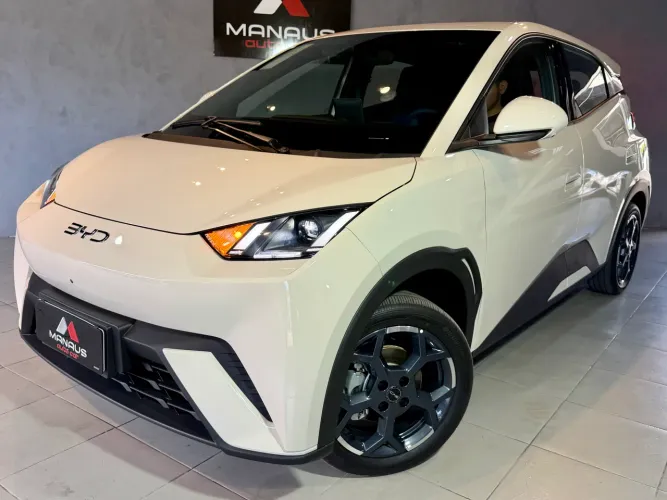 BYD Dolphin Mini (Elétrico) 2027