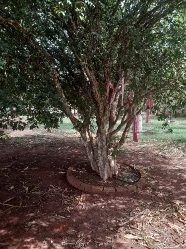 Chácara de 2 hectares sem benfeitorias próximo Uberlândia