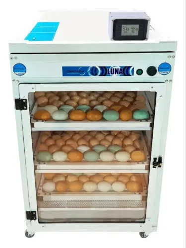 Chocadeira Automática Digital - Luna 240 - CHOCMASTER
