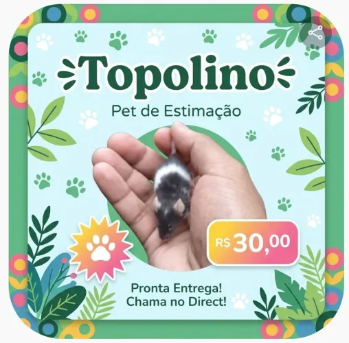 Topolino