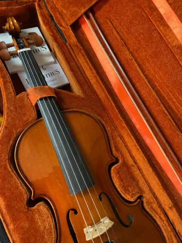 Violino Eagle ve441
