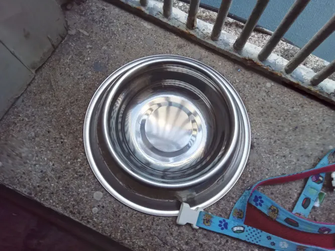 2 Vasilhas inox e 1 coleira pra cachorro