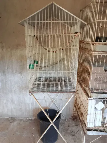 Gaiola grande com pé