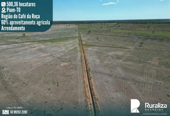 Arrendamento Agrícola em PiumTO | Região do Café da Roça | Área Plana e Produtiva