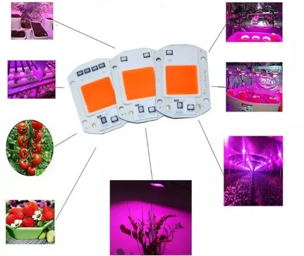 Led Cob Super Power 50w 220v Full Spectrum 380-840nm Grow Automação Robotica COD-CP288 