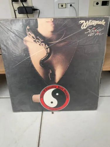 2 LPs da banda Whitesnake- oportunidade