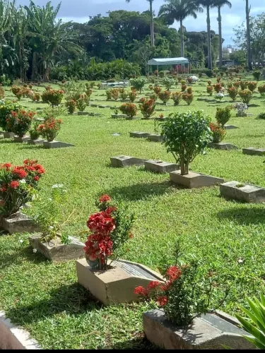 Mausoleu no Jardim da Saudade para até 4 pessoas