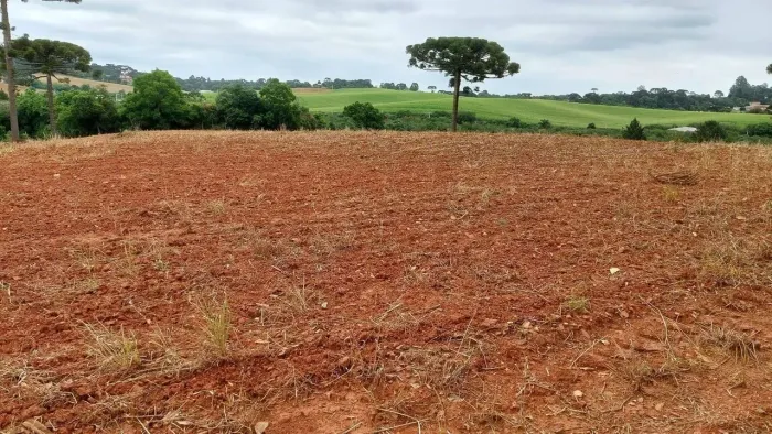 Araucária, 300m do asfalto, 5 alqueires, 12,35 hectares, barracão, própria pra plantio, ar