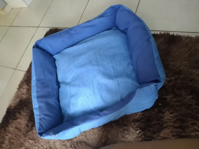 Caminha pet grande a venda ?