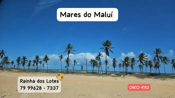 LOTE A 400m DO MAR - MARES DO MALUI - RAINHA DOS LOTES.