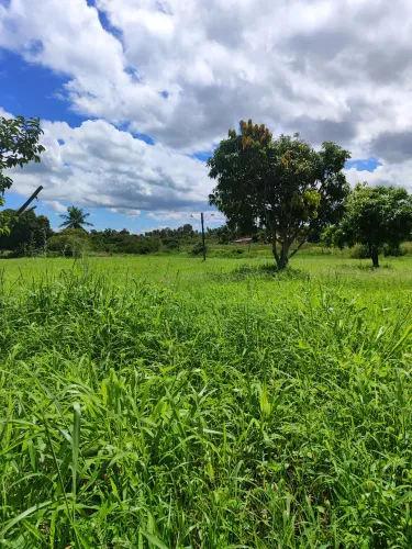 oportunidade única uma excelente granja bastante estruturada para pessoas de bom gosto