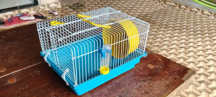 Gaiola ergonômica para Hamster 23cm x 21cm x 18cm
