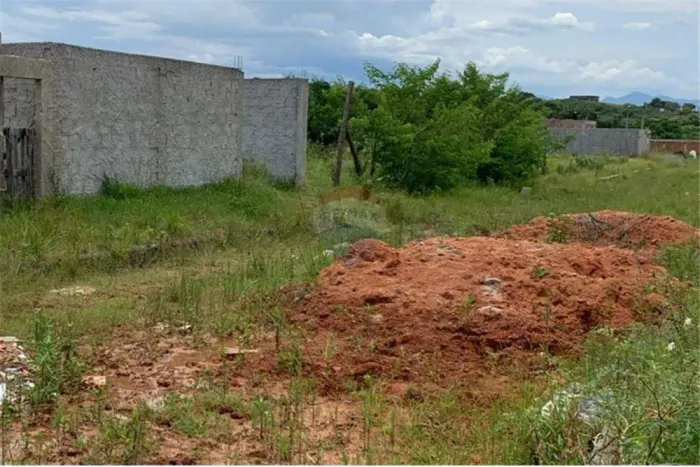 Terreno em Santa Cruz: Ótima Oportunidade!