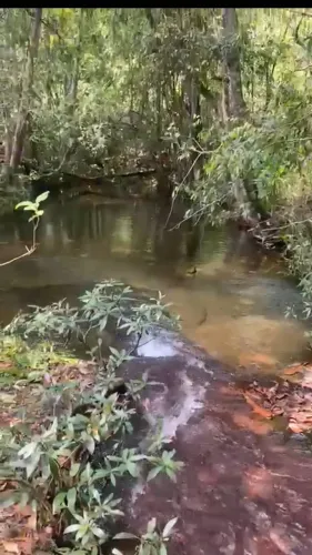 Fazenda dupla aptidão em Jaciara Mato Grosso