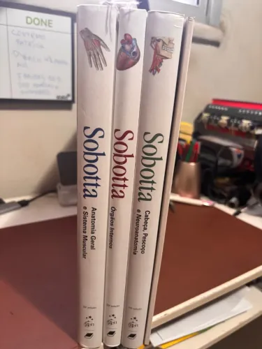 Sobotta Atlas de Anatomia Humana 23a Ed. Novíssimo! 3 volumes + Encarte com Quadros