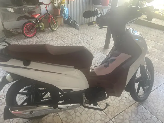 Shineray Phoenix S 50 2025