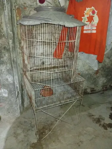 Viveiro grande pra passarinho em perfeito estado