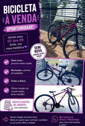 Bicicleta Aro 29