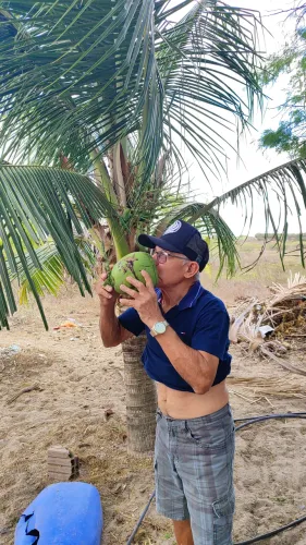 arrendo uma propriedade de coqueiros próximo a são José de Mipibu com 5.500 pés de coqueir