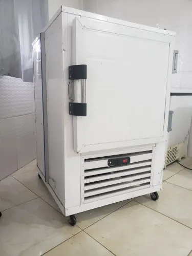 Ultracongelador 220V Usado