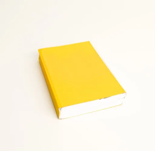 livro amarelinho