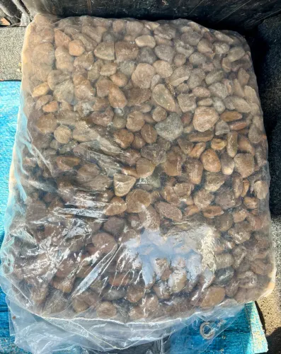 Seixo coquinho