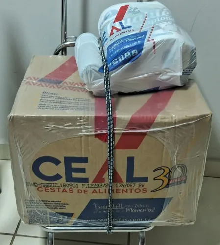 Vendo cesta básica 