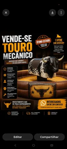 Touro mecânico 